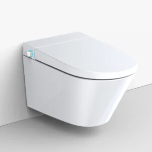 SWS ismanieji tualetai 1024x1024 landing 1