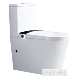 Išmanusis tualetas<br> SWS-T5<br><sws style="font-size: smaller; font-weight: 300"> (pastatomas)</sws>